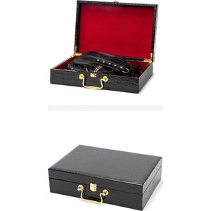 Blue Rabbit BDSM and Role Play Set Deluxe in a Case