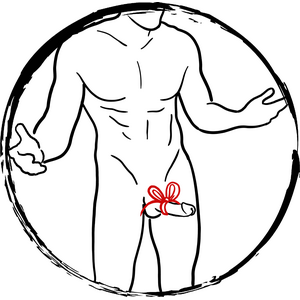 Buoni regalo